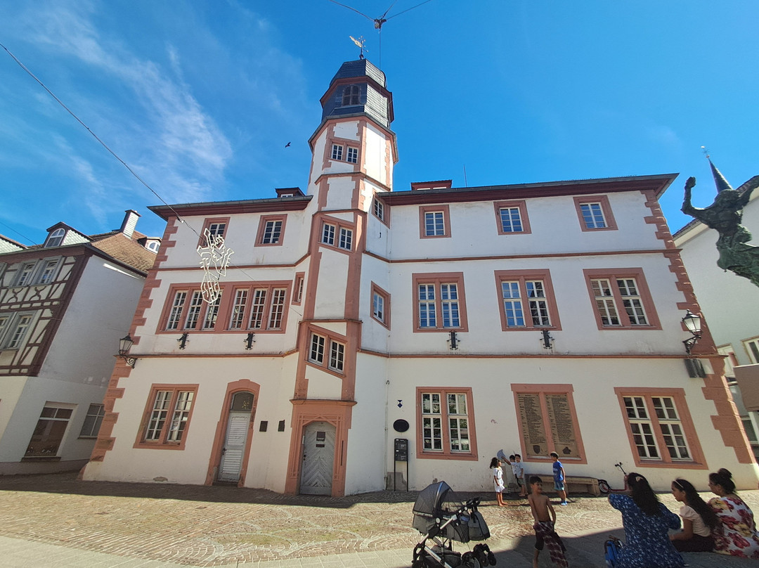 Museum der Stadt Alzey景点图片