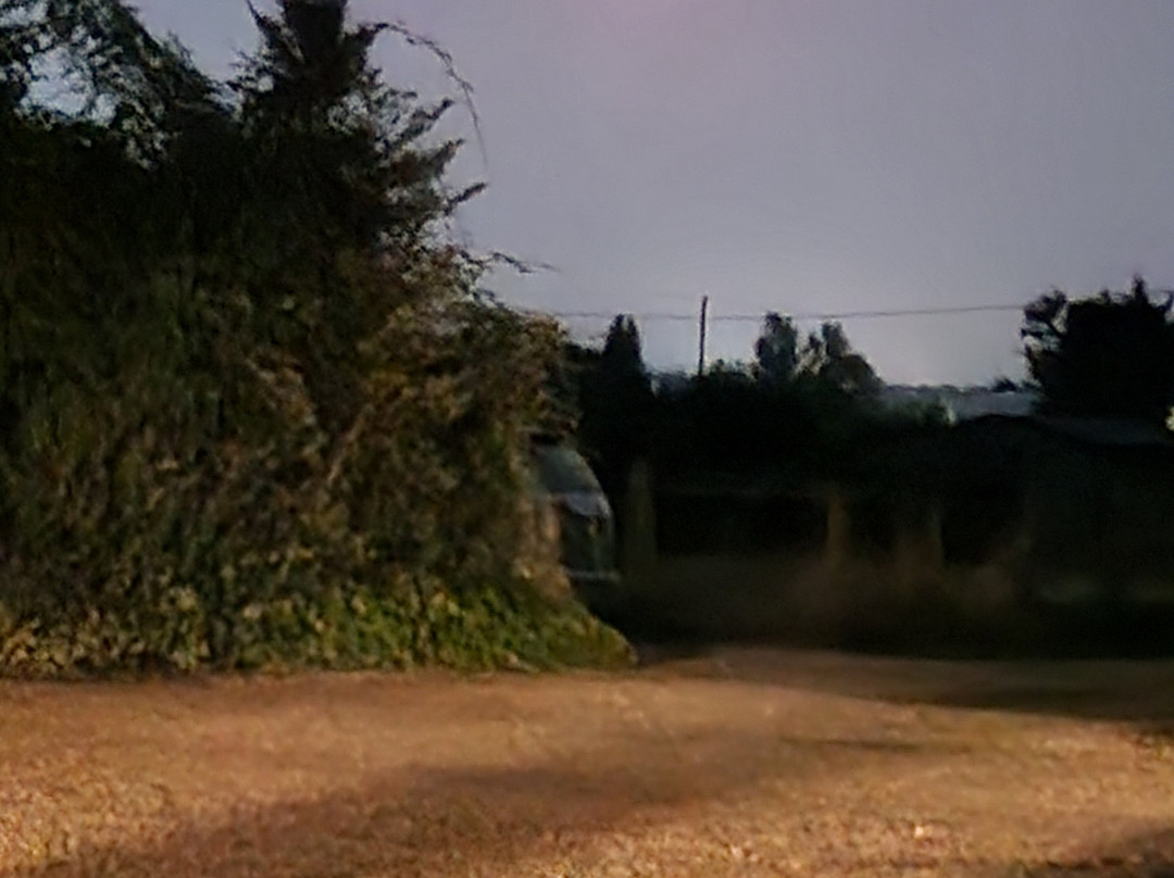 Wayside B&B and Lodges主图