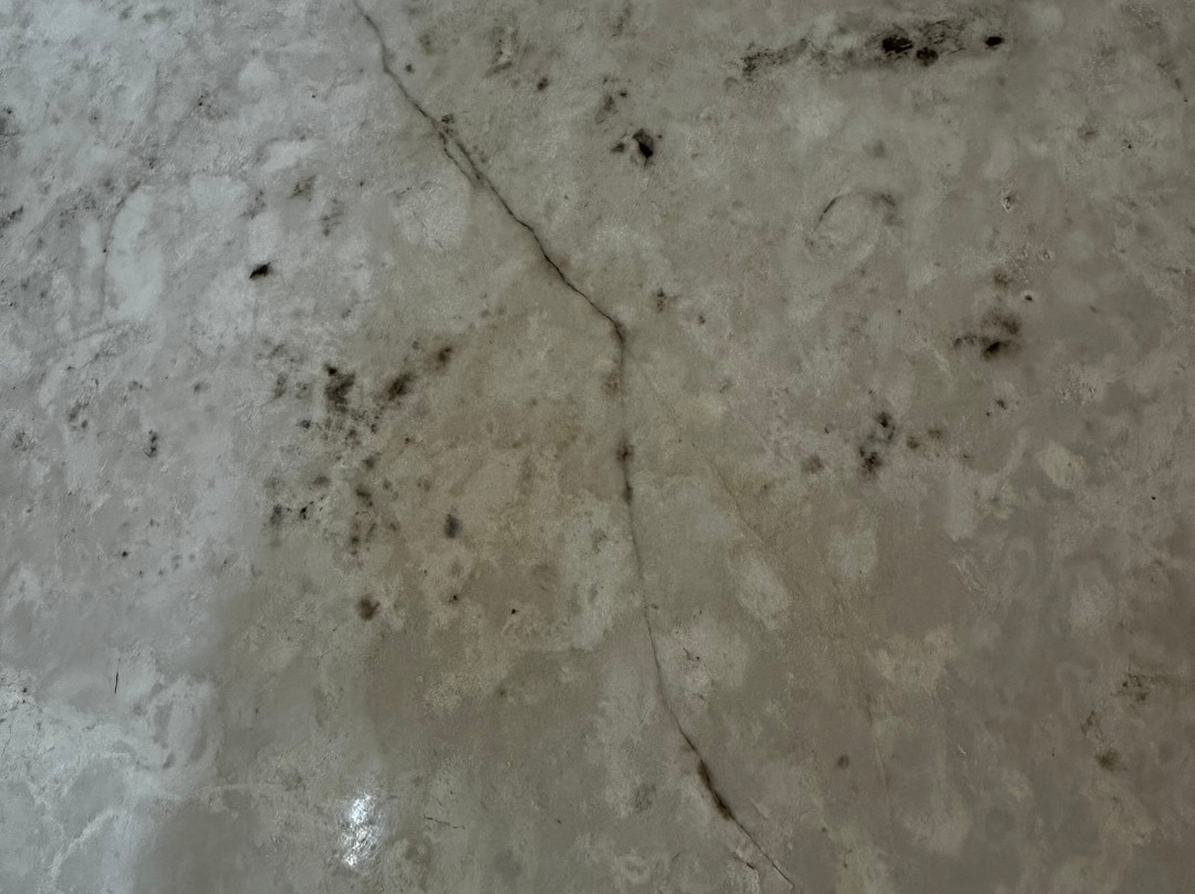 The Lalit Chandigarh主图