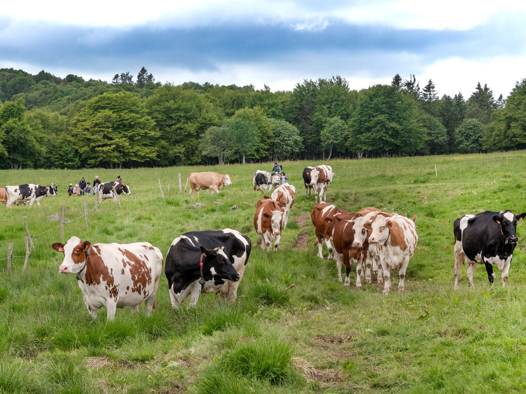 Le Col De La Schlucht-Le Valtin必去景点