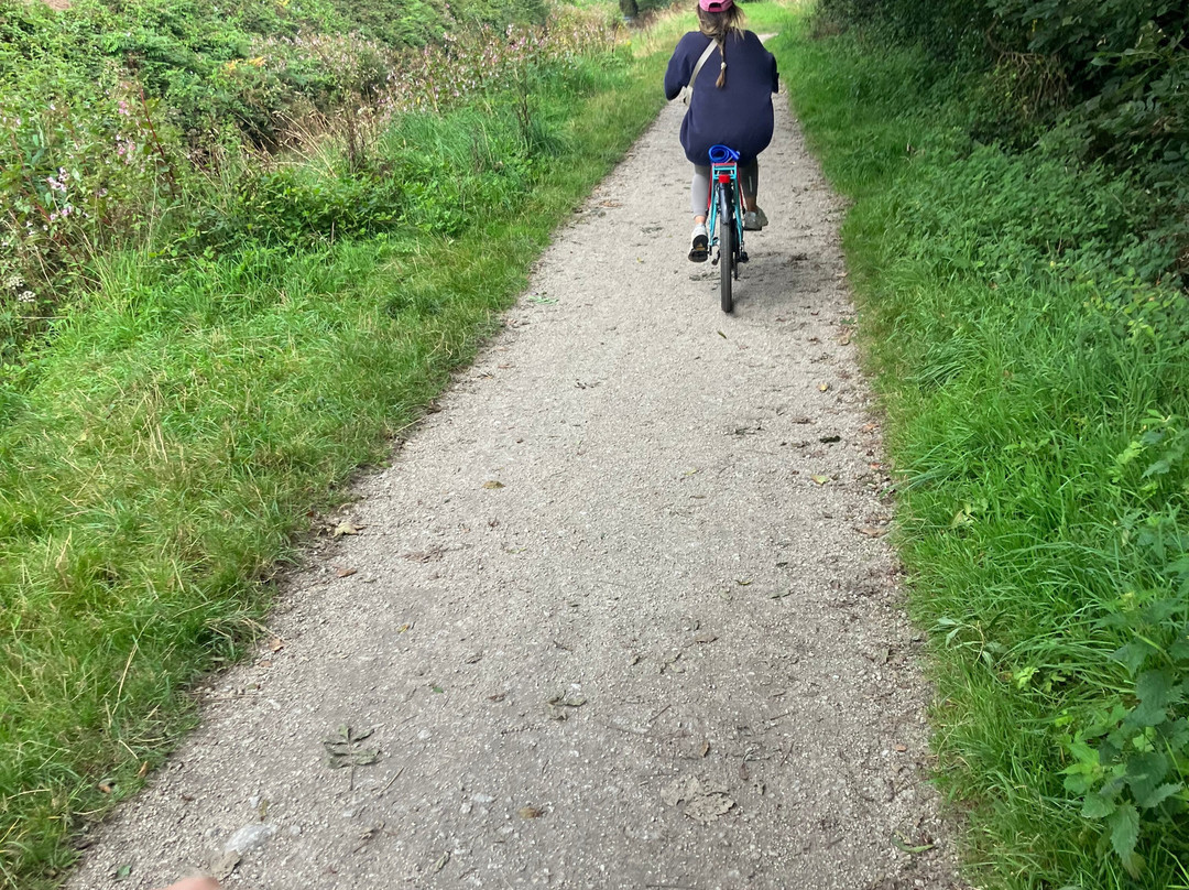 Pentewan Valley Cycle Hire景点图片