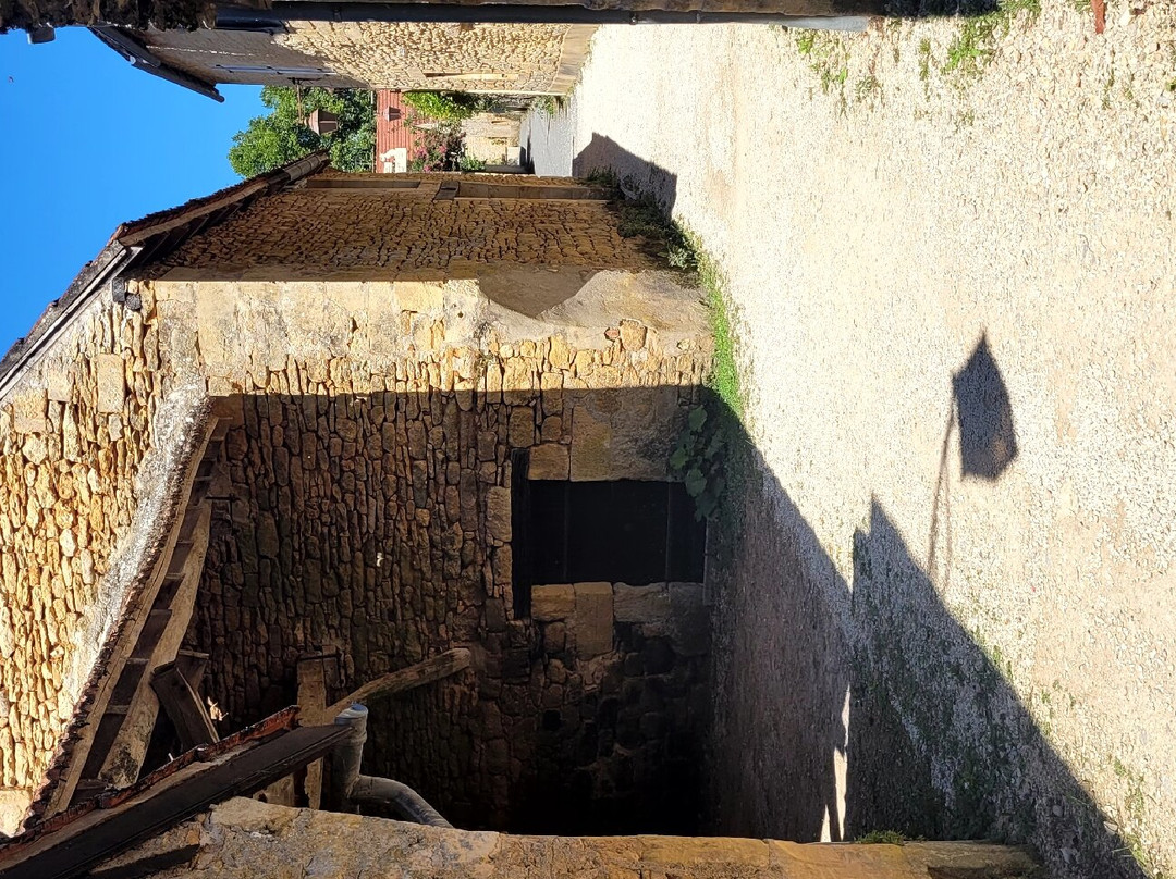The Romanesque Church-Saint-Leon-sur-Vezere必去景点