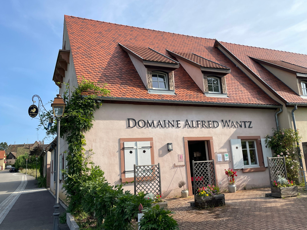 Domaine Alfred Wantz景点图片