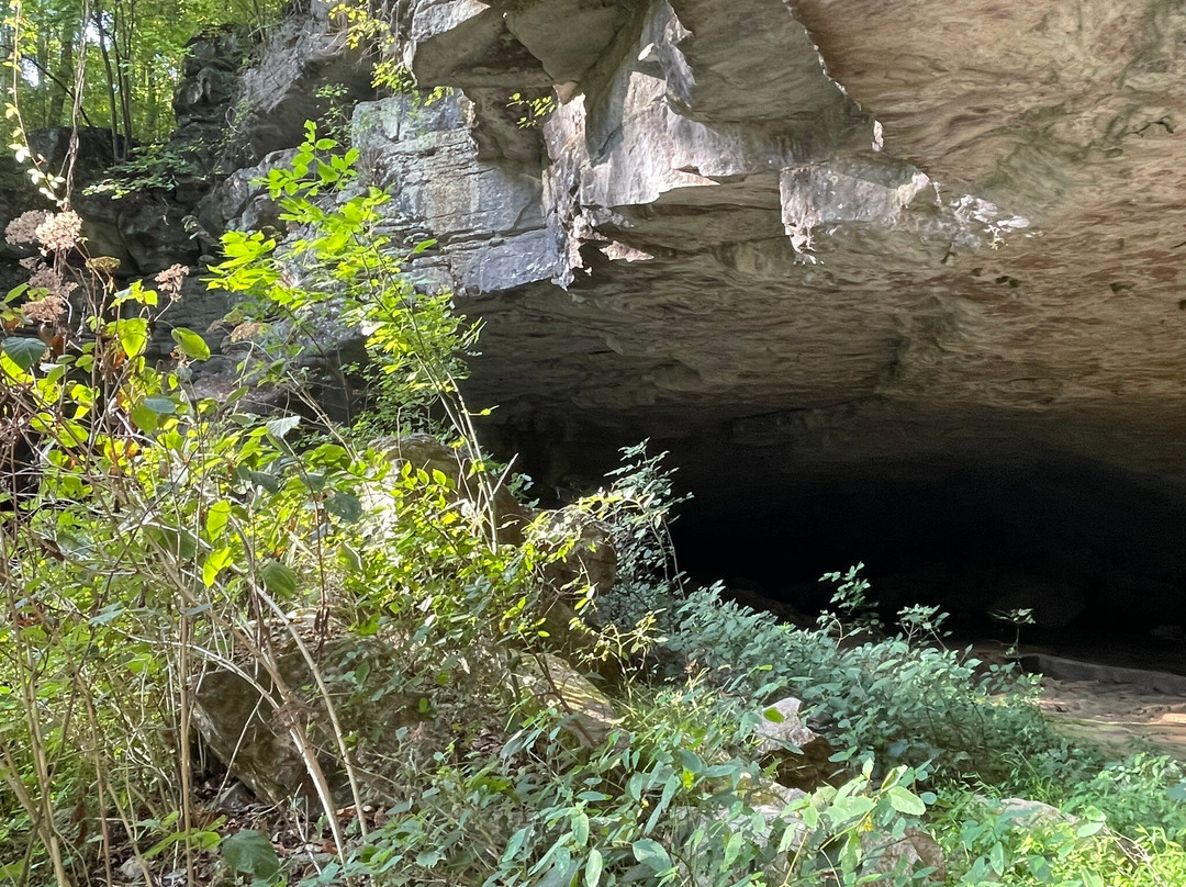 Russell Cave National Monument-Bridgeport必去景点