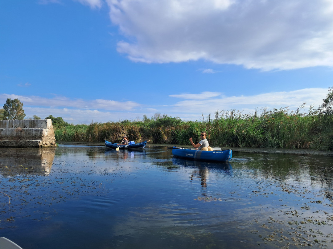 Kayak Safaris BG-布尔加斯必去景点