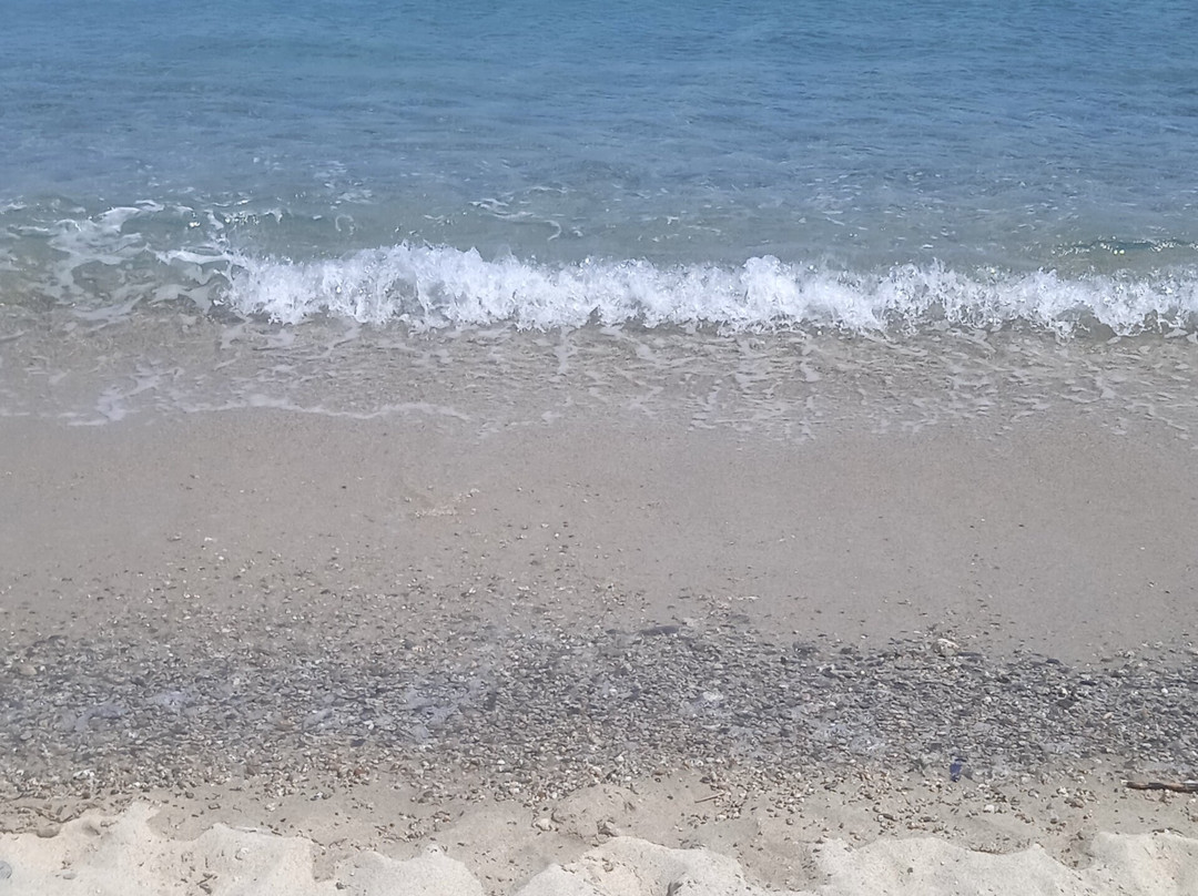 Hotel Nettuno Soverato主图