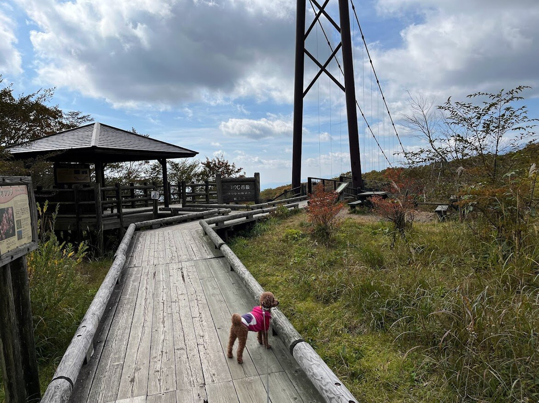 Tsutsuji Suspension Bridge-那须郡必去景点