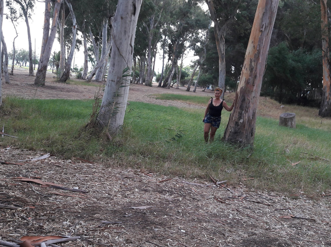 Paralia Boukas-Messini必去景点