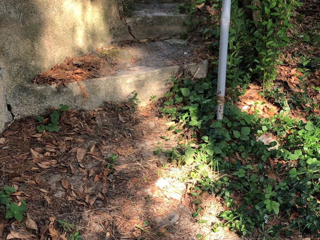 La Antica Fonte Romana-Cologna Paese必去景点