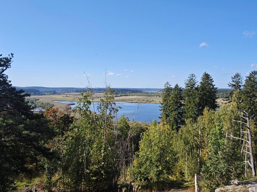 Vakkosalmi Park景点图片