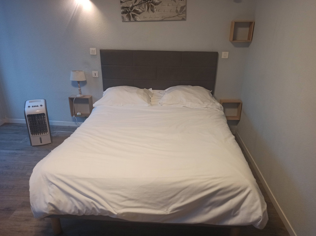 Hotel Le Saint Clement主图