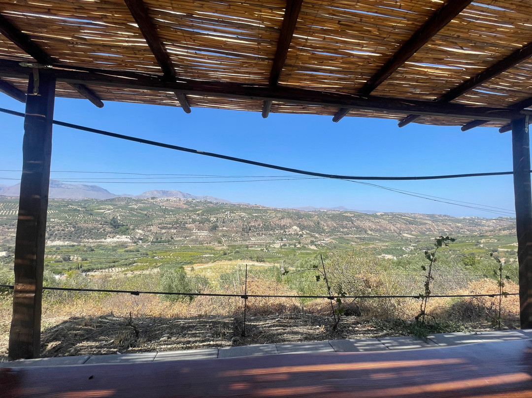 Douloufakis Winery-伊拉克利翁必去景点