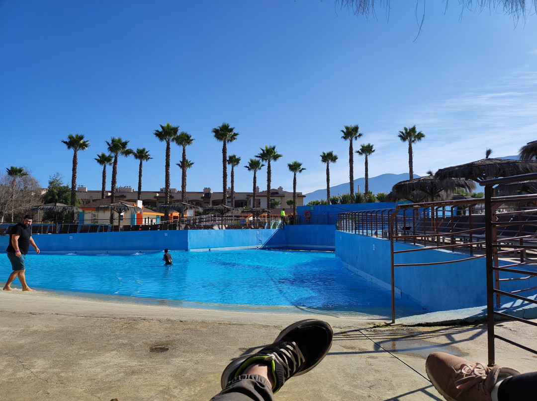 罗莎阿古斯蒂纳俱乐部酒店主图