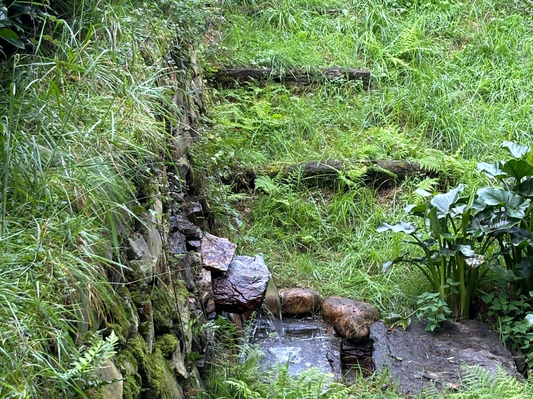 Hacienda Llamabua主图