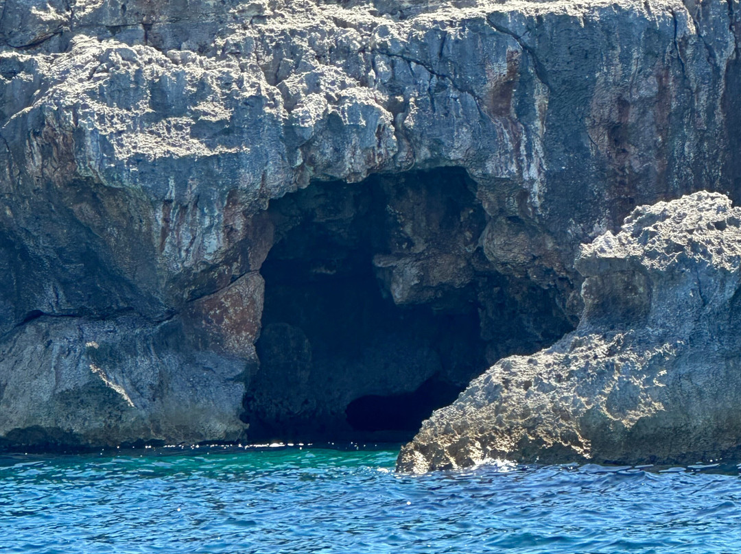 NOTOS MARE MARINE ADVENTURES景点图片