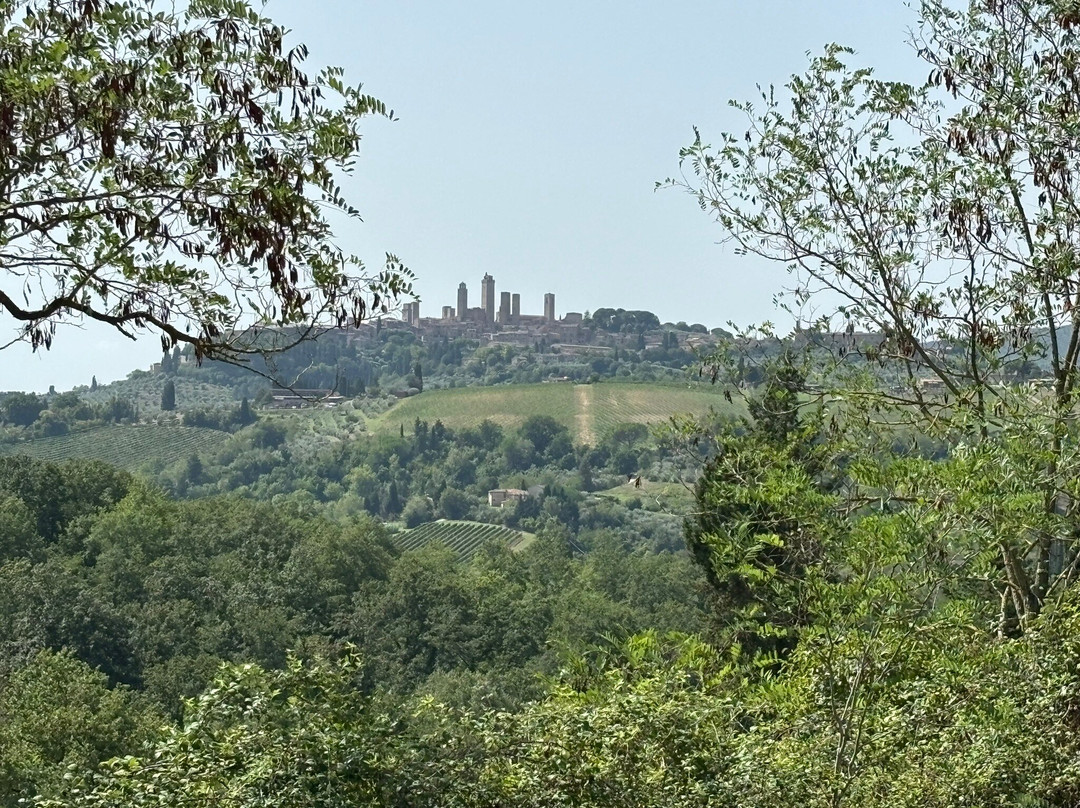 Tuscany on Wheels景点图片