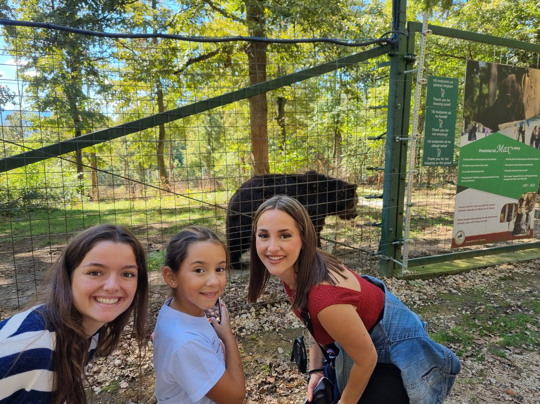 Libearty Bear Sanctuary Zarnesti景点图片