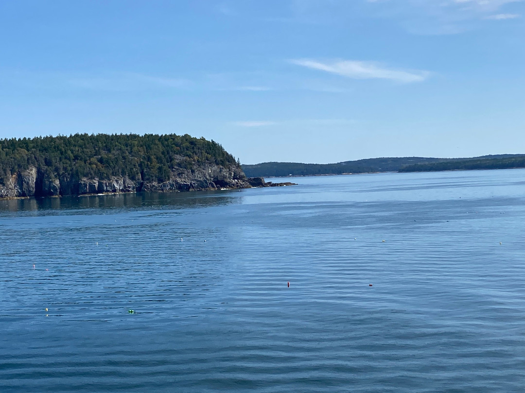 The CAT Ferry-巴港必去景点