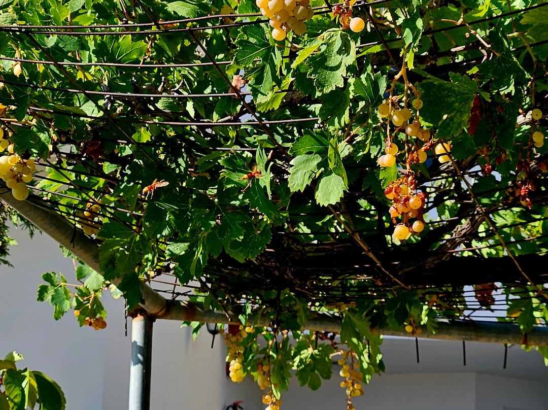 Sunrise Resort Hotel主图