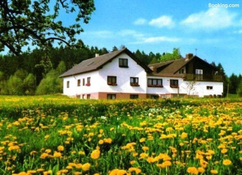 Gasthaus-Pension Brandweiher主图