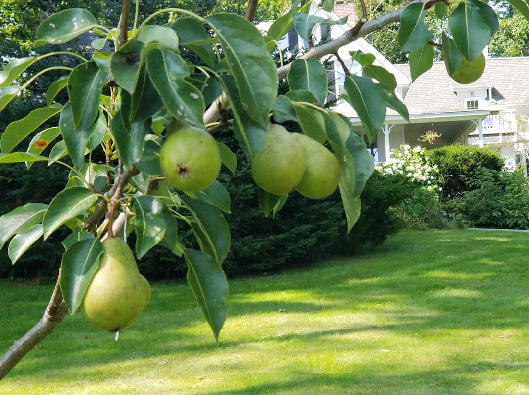Timbercliffe Cottage Inn主图