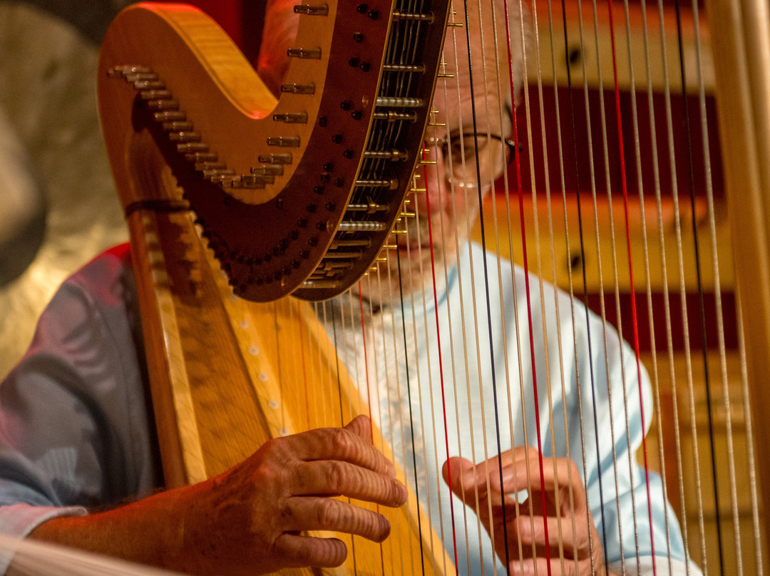 Luc Vanlaere Harpist - Harp Museum景点图片