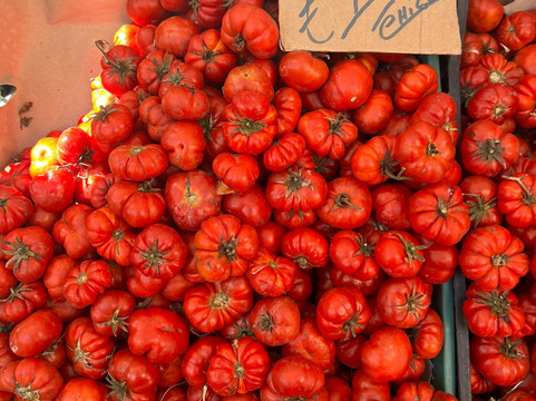 Sicily Palermo Guide Virginia Turco-巴勒莫必去景点