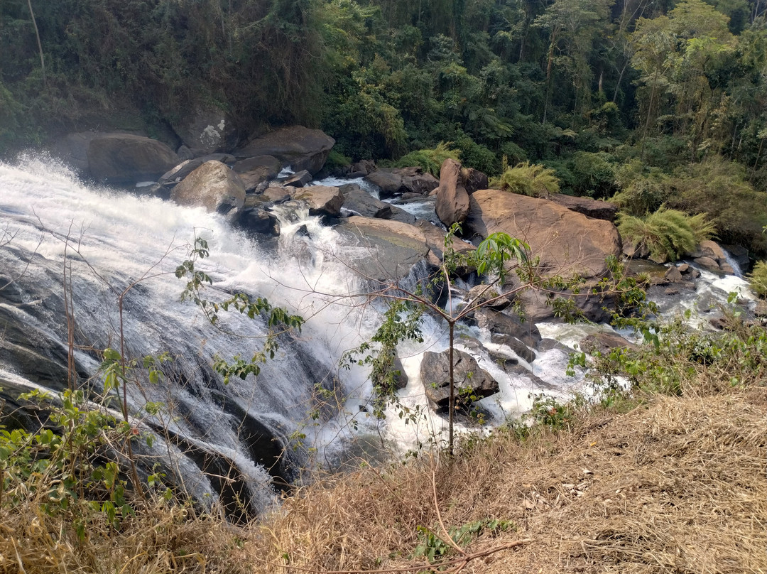 Cachoeira da Fumaca景点图片