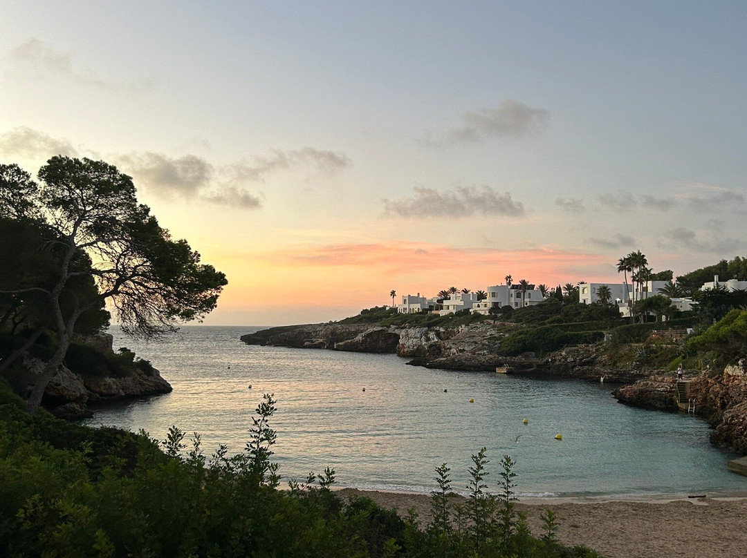Cala Esmeralda Beach-卡拉多尔必去景点