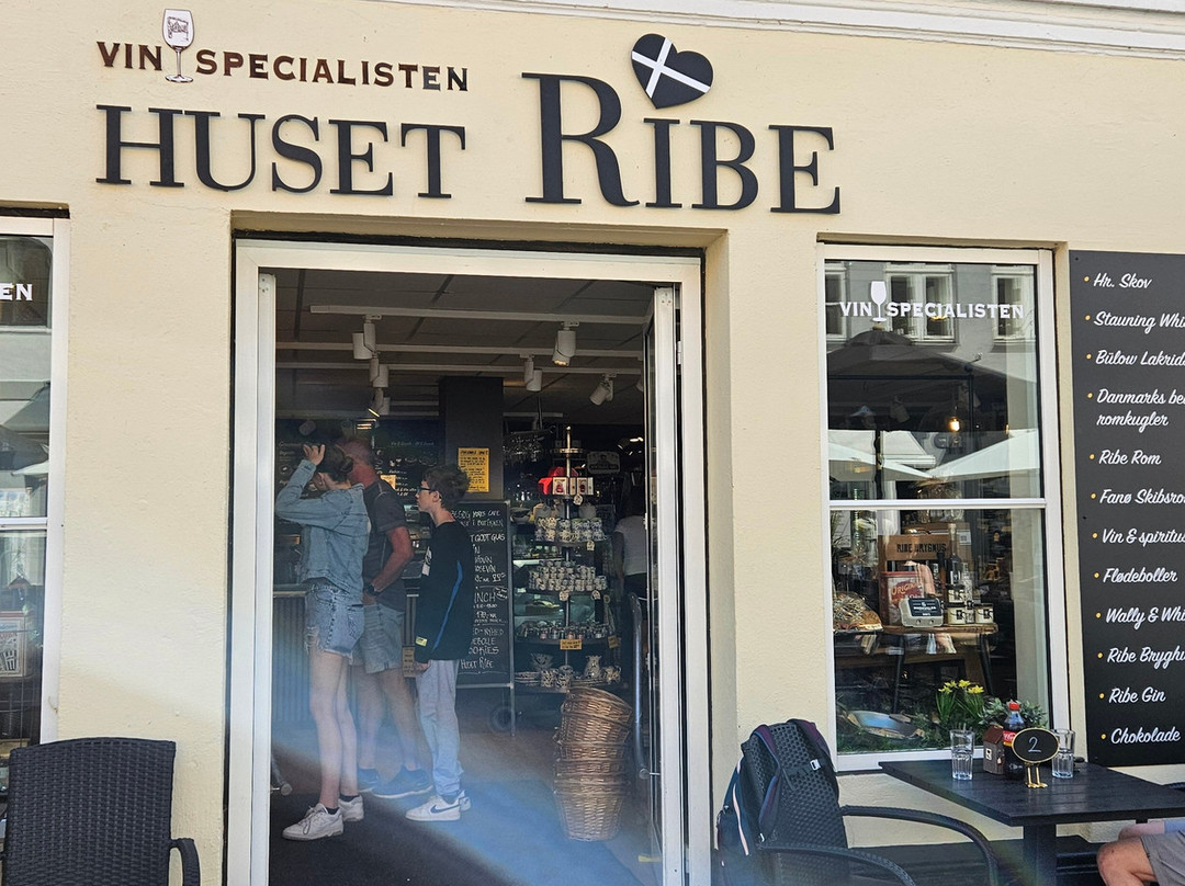 Huset Ribe, Neder Dammen 30, 6760 Ribe