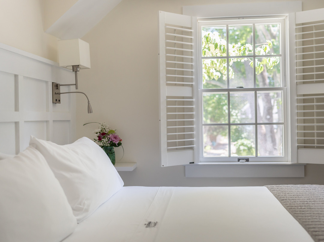 The Platinum Pebble Boutique Inn主图