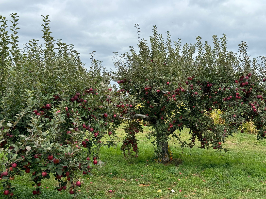 Fishkill Farms-Hopewell Junction必去景点