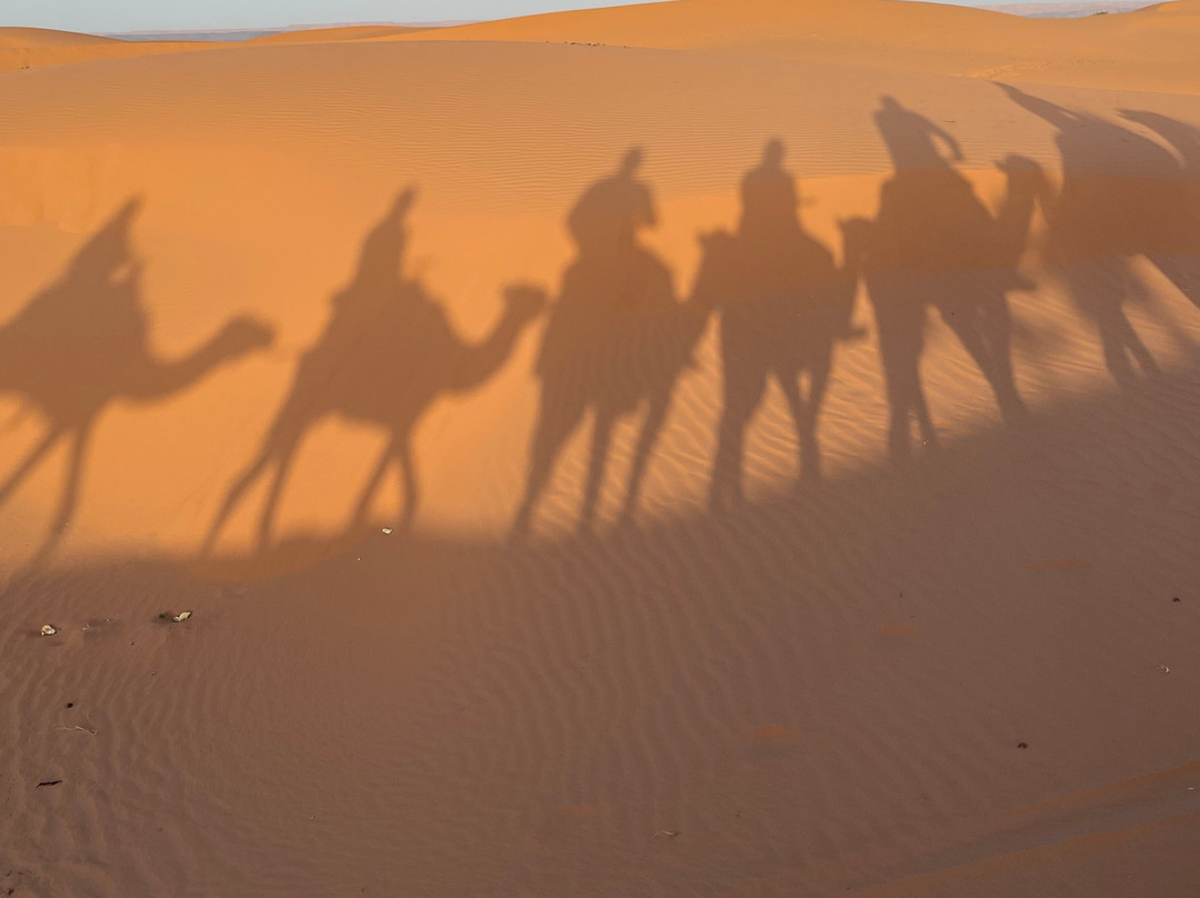 Over Moroccos Desert Tours-非斯必去景点