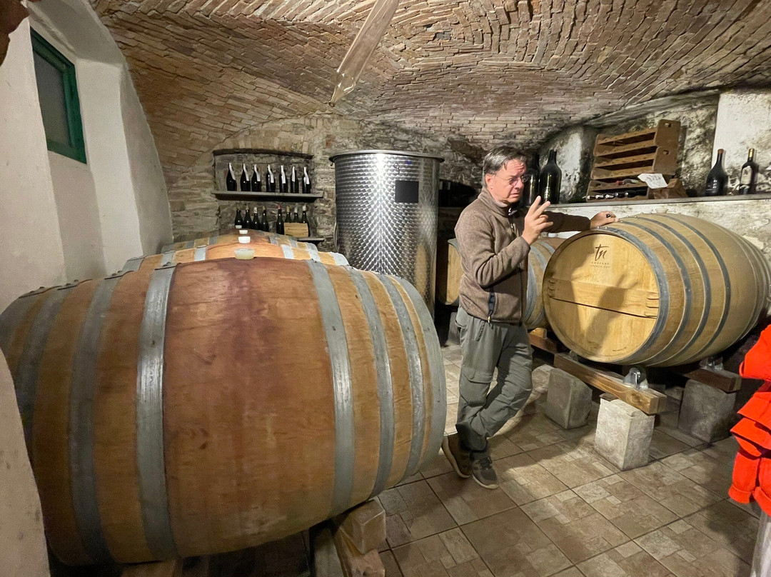 Azienda Agricola Cascina Belvedere 1932-Mornese必去景点