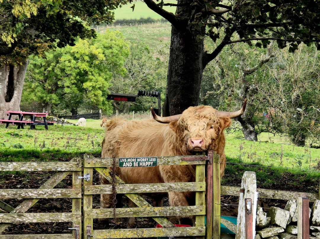 Geise Farm Activities景点图片