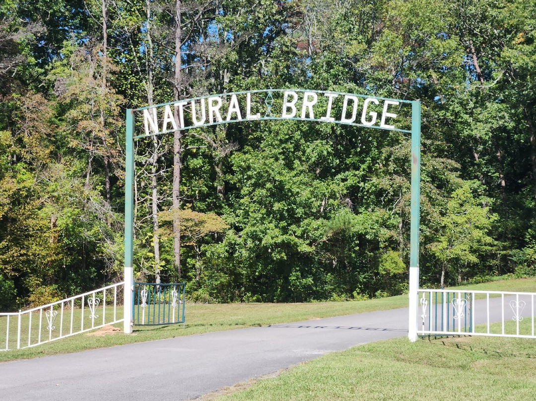 Natural Bridge Park景点图片