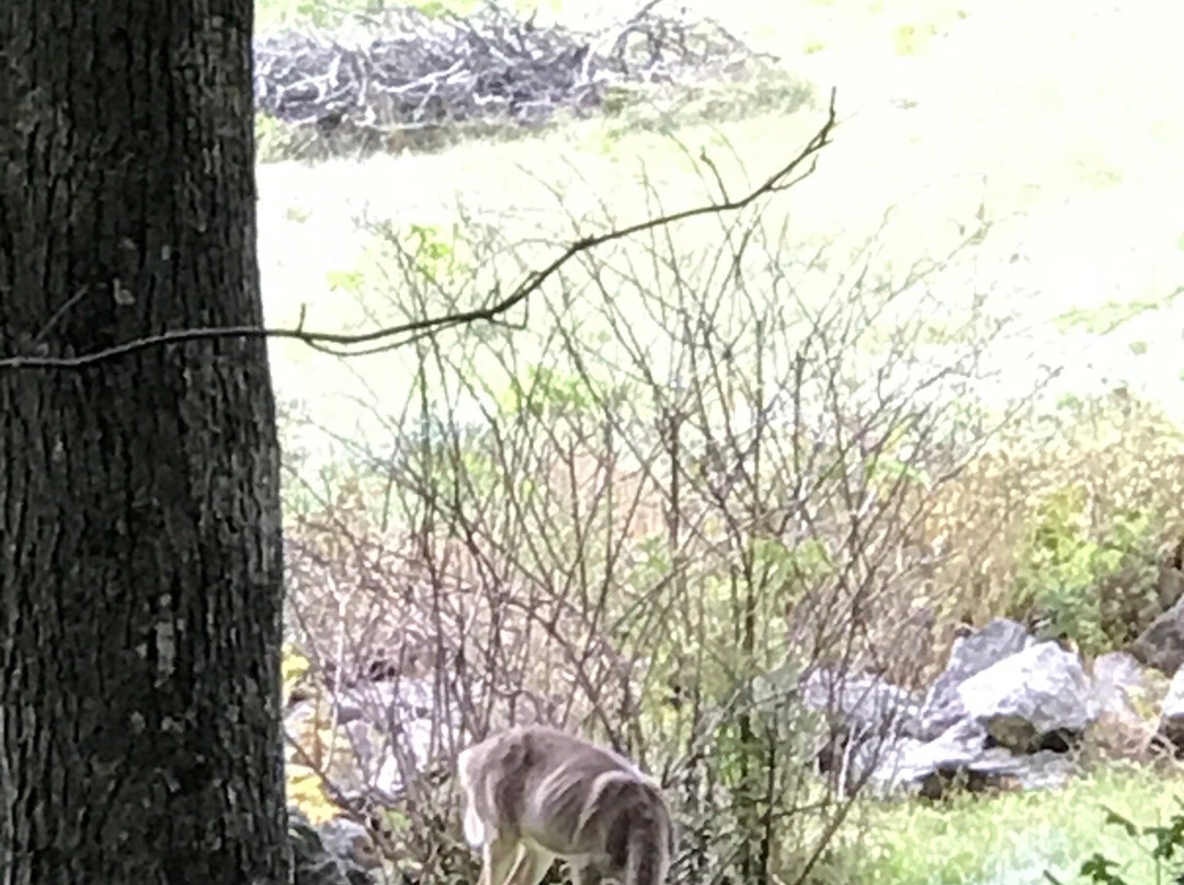 Howard House Lodge主图