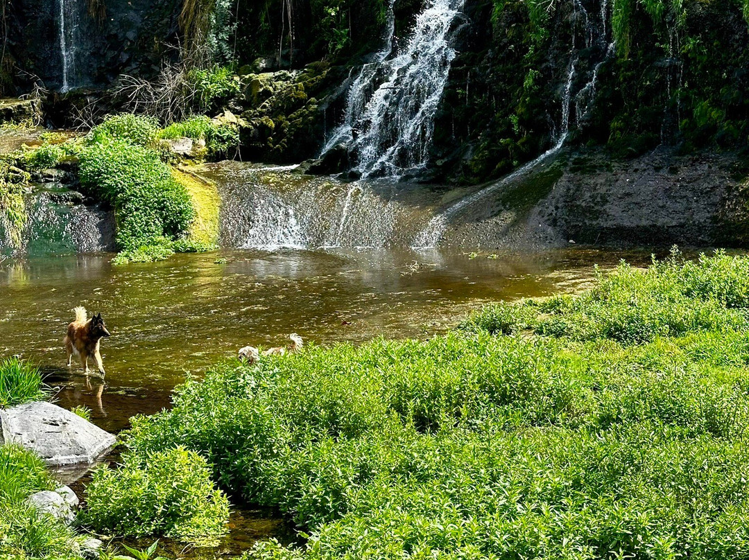 Salt del Moli Fondo景点图片