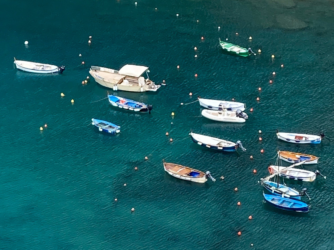 Porto di Vernazza景点图片