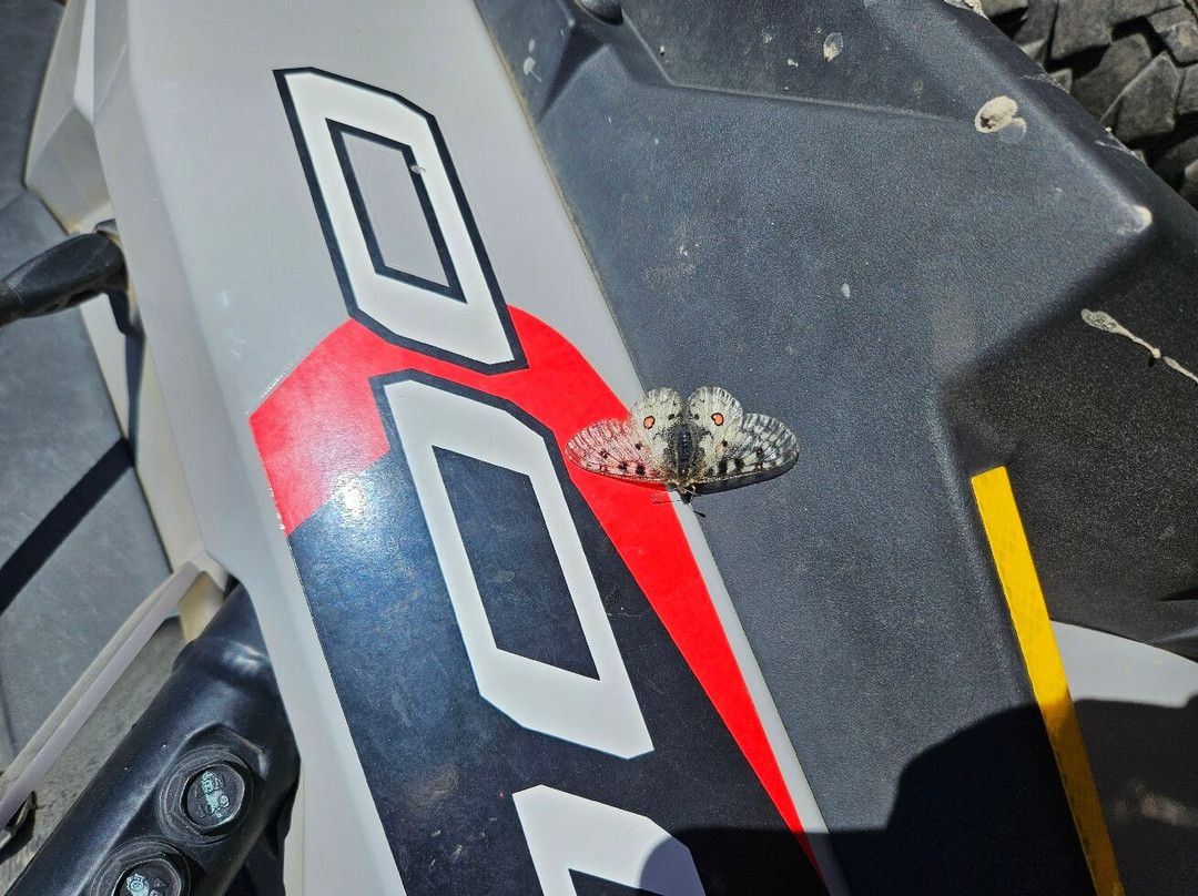 Collegiate PeaksOff-Road-布埃纳维斯塔必去景点