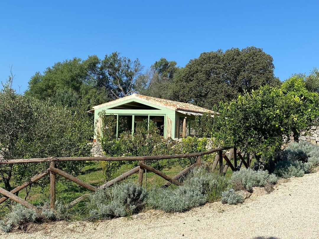 Gallicantu Stazzo Retreat主图