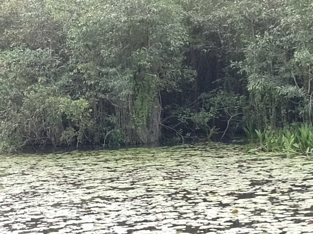 Beddegana Wetland Park景点图片