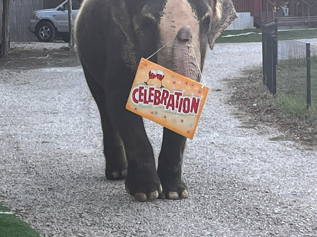 The Endangered Ark Foundation-Hugo必去景点