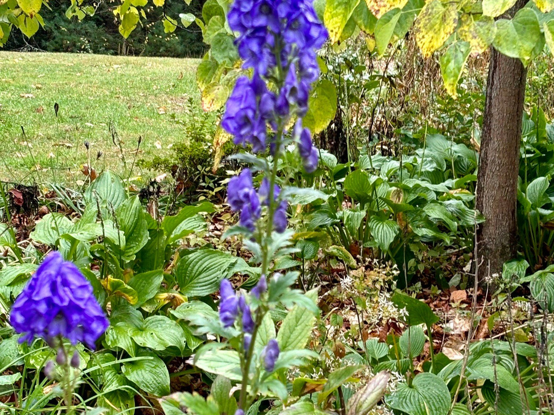 Farandnear Reservation-Shirley必去景点