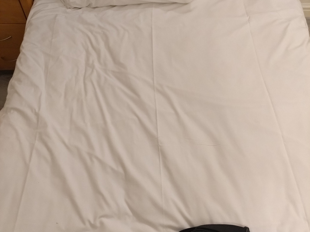 Oliver's Lodge Hotel主图