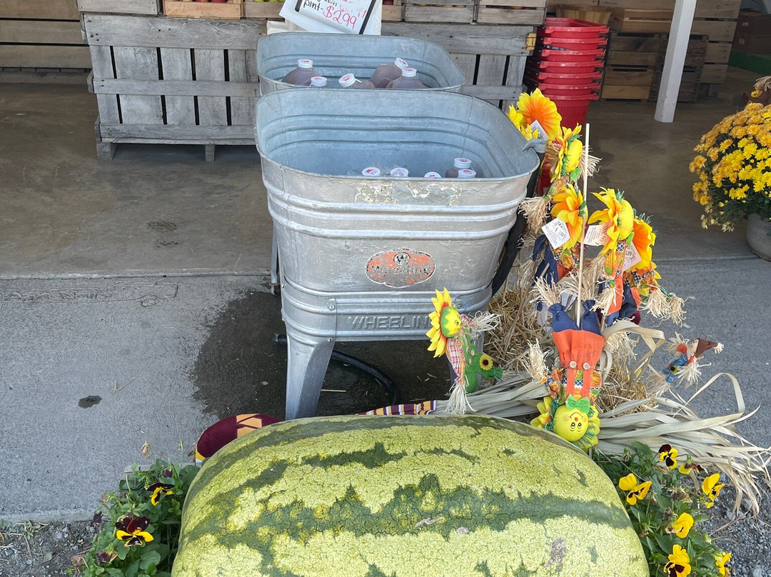 Nalls Farm Market景点图片