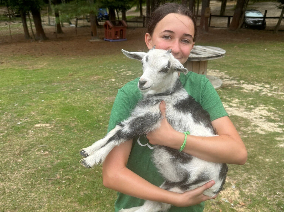 Rescue At Little Fox Hollow-达拉斯必去景点