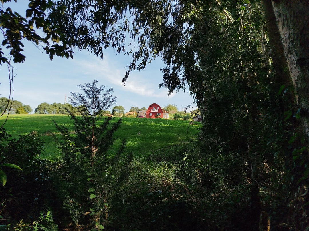 Colonia Witmarsum-Palmeira必去景点