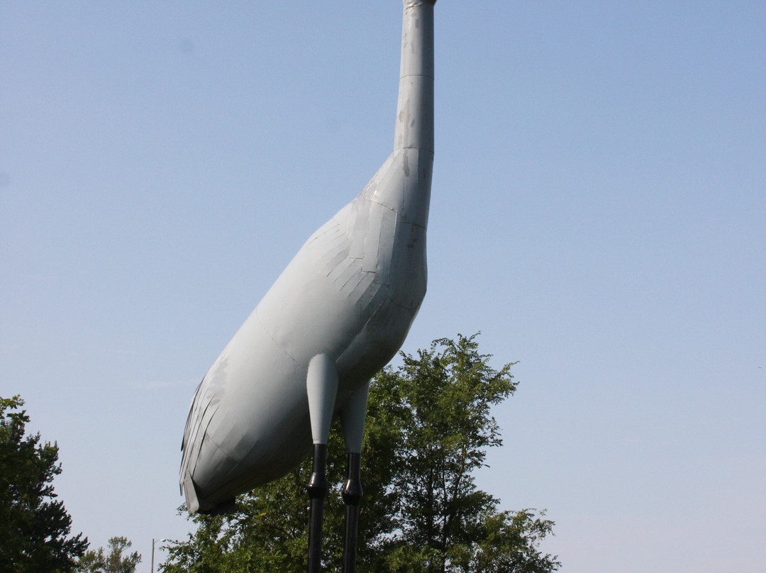World's Largest Sandhill Crane景点图片