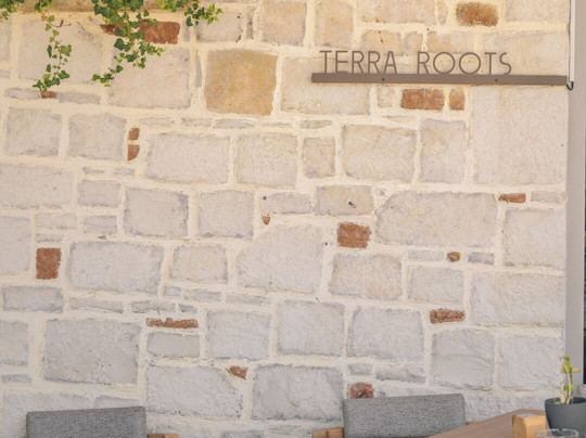 Terra Roots主图